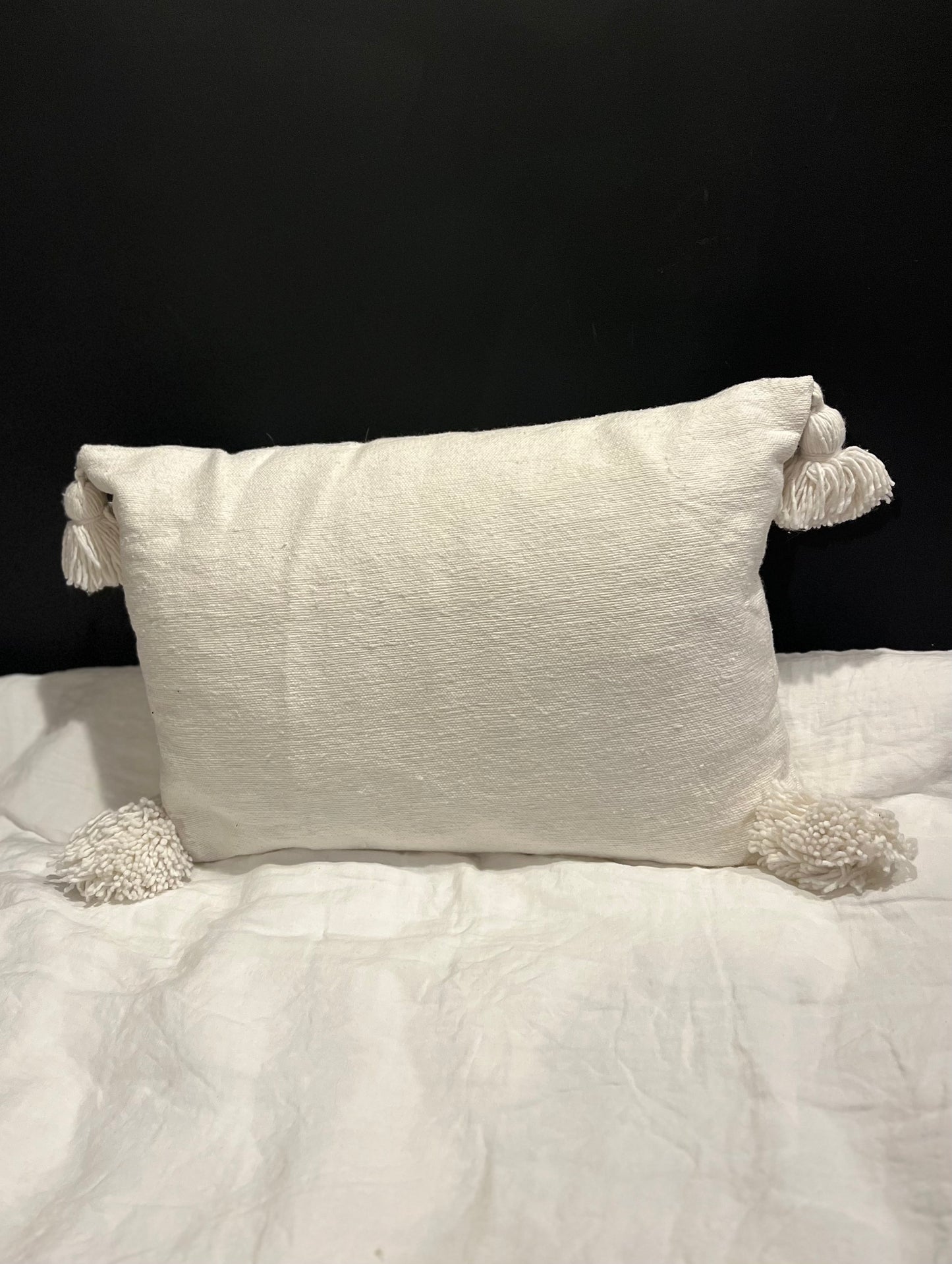 Coussins rectangles beige et blanc
